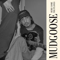 Mudgoose - Here Come The Planes