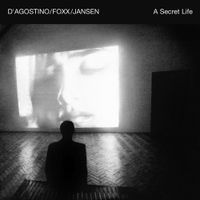John Foxx, Steve Jansen & Steve D’Agostino - A Secret Life