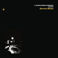 Jessica Pavone - Reverse Bloom