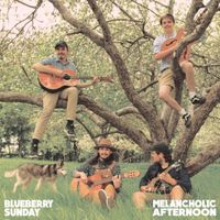 Blueberry Sunday - Melancholic Afternoon