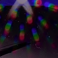 8shard - DUMB.UGLY