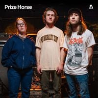Prize Horse - Prize Horse on Audiotree Live