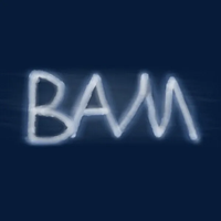 C418 - BAM