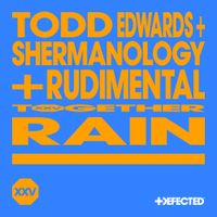 Todd Edwards - Rain