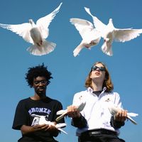 Danger Incorporated - Birds Fly By Night