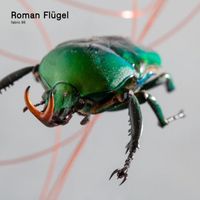 Roman Fl&uuml;gel - Fabric 95
