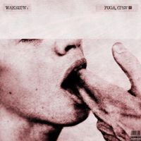 Wakeupnv - fuga, open