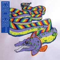 MGMT - Electric Feel