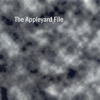Derek Bailey - The Appleyard File