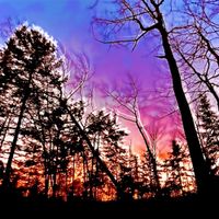 Fellers Island - Hands of Ice Reaching For the Sun