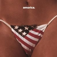 The Black Crowes - Amorica