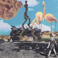 The Rah&rsquo;s - The Common Ground