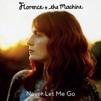 Florence + the Machine - Never Let Me Go