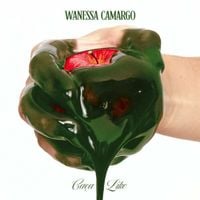 Wanessa Camargo - Ca&ccedil;a Like