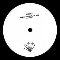 Tessela - Hackney Parrot (10 Ton Mix) / Headland