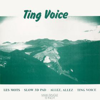 Ting Voice - Ting Voice