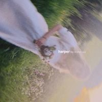 Harper - the mother root