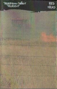 Prurient & Pedestrian Deposit - Red Head
