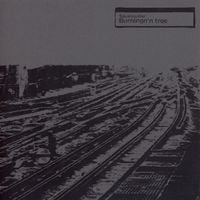 Squarepusher - Burningn'n Tree