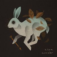 ahem - Avoider