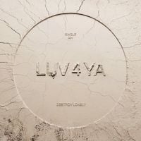 Destroy Lonely - LUV 4 YA