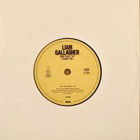 Liam Gallagher - Now That I've Found You