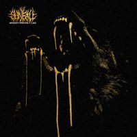 Sunfall - Broken Mirrors/Lies