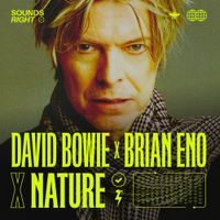David Bowie - Get Real (Sounds Right Mix)