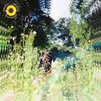 Rex Orange County - Sunflower