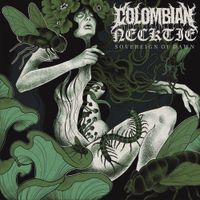 Colombian Necktie - Sovereign of Dawn