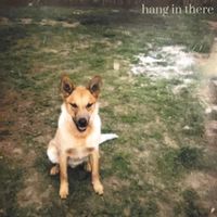 Every Dog Has Its Day - Hang In There
