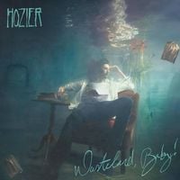 Hozier - Why Would You Be Loved