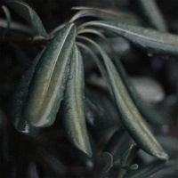 Vivian Bell - Live at Exalge, Milan 28.05.2023
