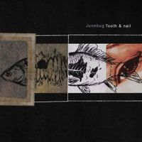 Junebug - Tooth & nail