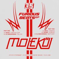 Various Artists - Furious Beats