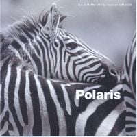 Polaris - Live At AOYAMA CAY / by intoxicate 2004/02/28