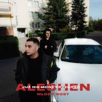 Aleshen - Już nie mogę przegrać
