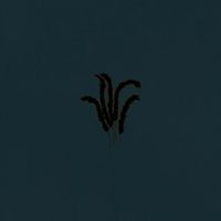 Whimm - A Stare Ajar