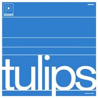 Maston - Tulips