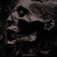 King Apathy - Ancst & King Apathy Split