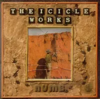 The Icicle Works - Numb