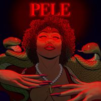 N.I.N.A. - PELE