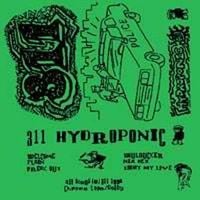 311 - Hydroponic