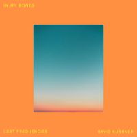 Lost Frequencies - In My Bones