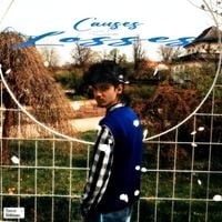 Awsim - Causes & Losses