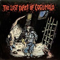 Various Artists - The Lost Tapes Of Cogumelo