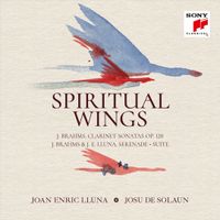Joan Enric Lluna / Josu De Solaun - Spiritual Wings