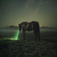Recycled J - PRELUDIO
