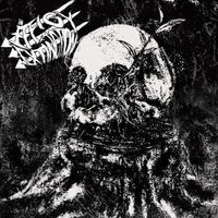 An Effigy To Extinction - An Effigy to Extinction