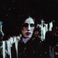 Luke Black - Winter Dahlia